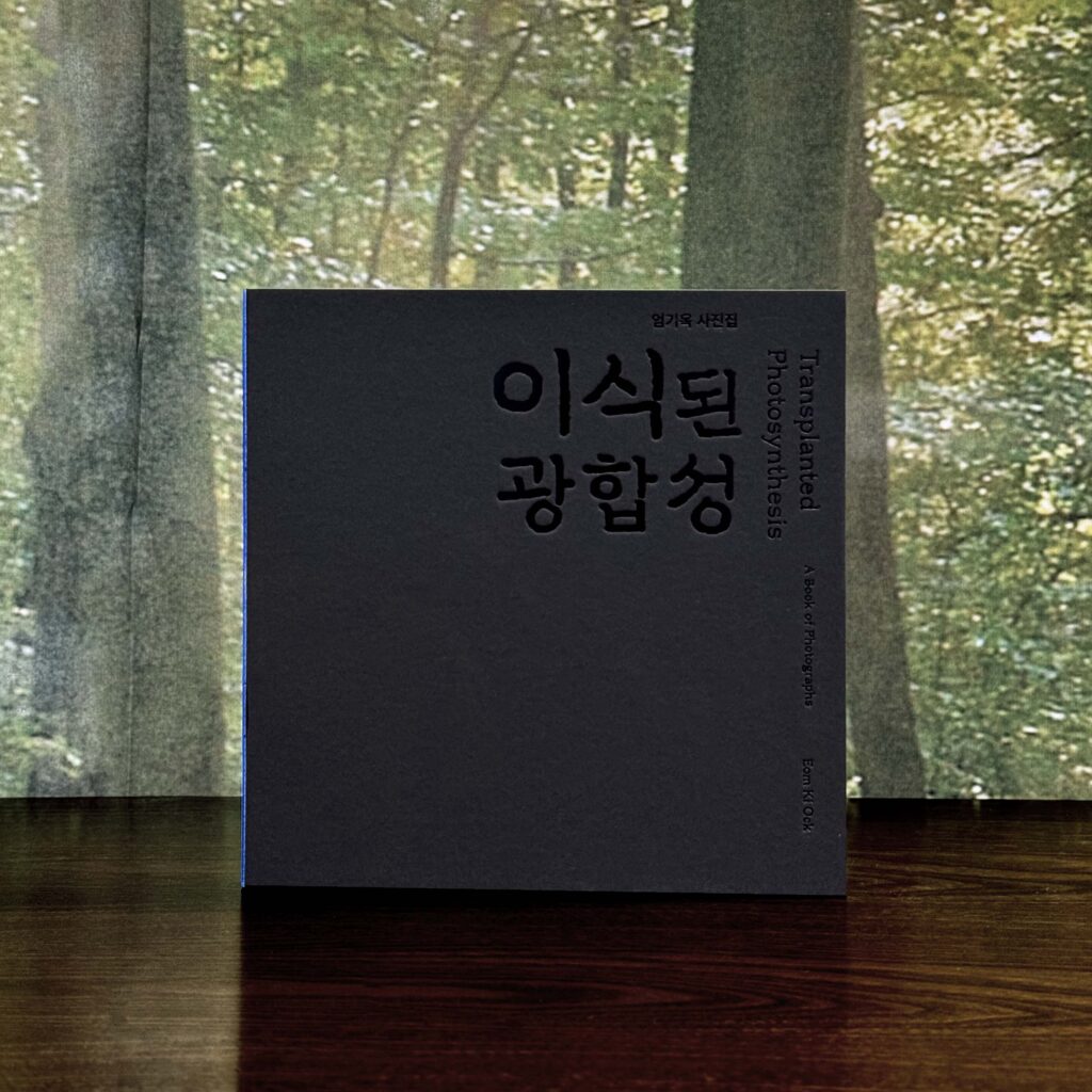 엄기옥 작가 사진집「이식된 광합성」